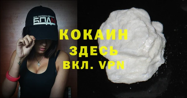 сатива Арсеньев