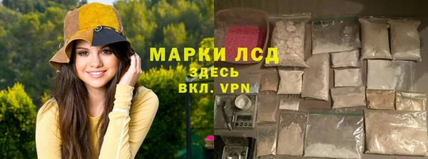 сатива Арсеньев