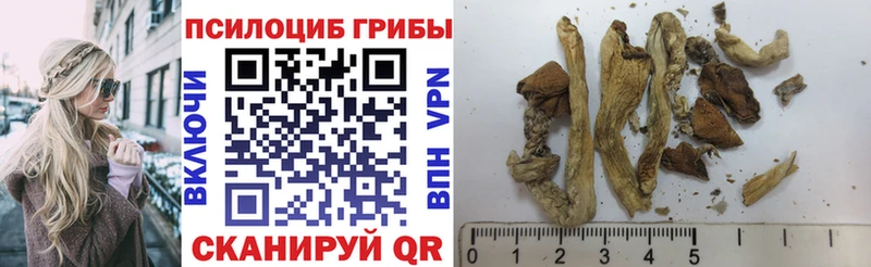 Галлюциногенные грибы мухоморы Правдинск